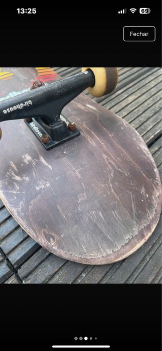 Skate  birdhouse