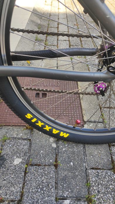 Bicicleta pinhaleira
