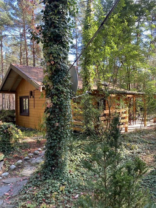 Domek nad Zalewem Sulejowskim