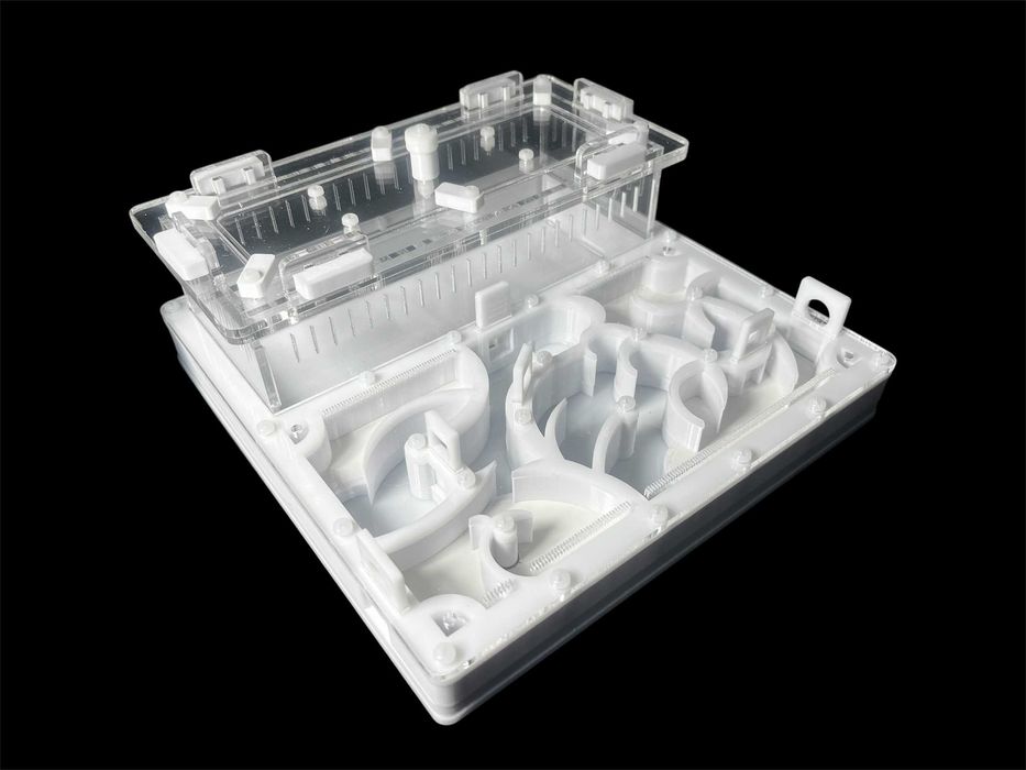 Купити мурашину ферму 20х20 см за 1100 грн – модерн для мурашок