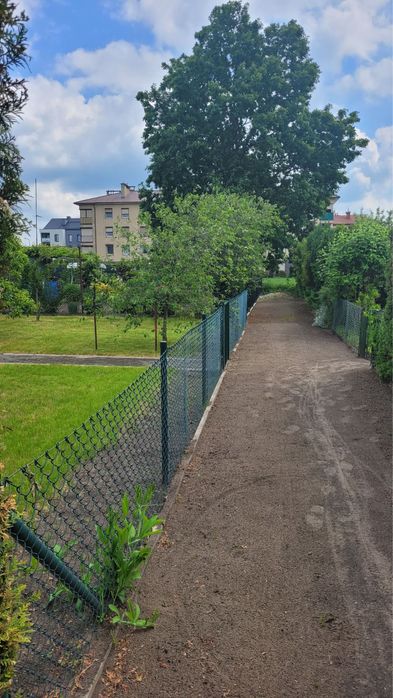 Działka ROD im. Marcinkowskiego - Widok 2