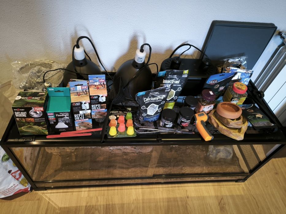 Terrário Grande C/ Acessórios