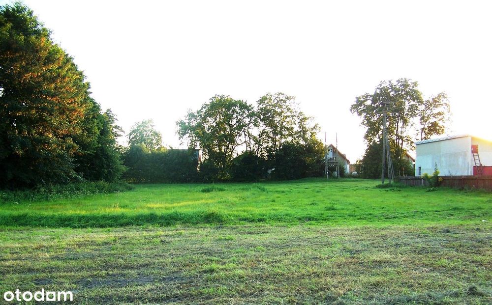 Spokojna działka w sercu Puszczy Białej - Widok 4