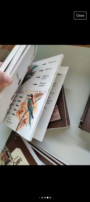 Coleção Cadernos de Campo