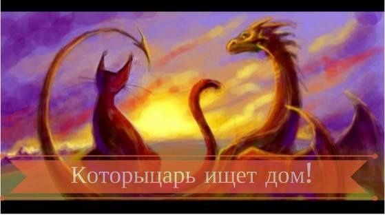 Благородный рыжий Ланцелот! Котенок - рыцарь)