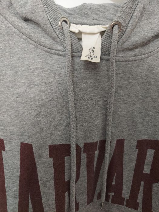 Bluza szara z długim rękawem Harvard H&M plus size EU XL
