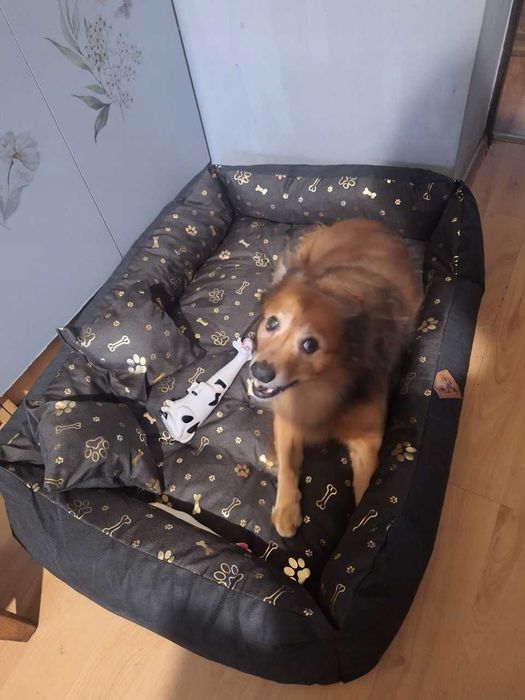 Legowisko Kojec Posłanie Wodoodporne 100x75 Cm Nowe pies kot