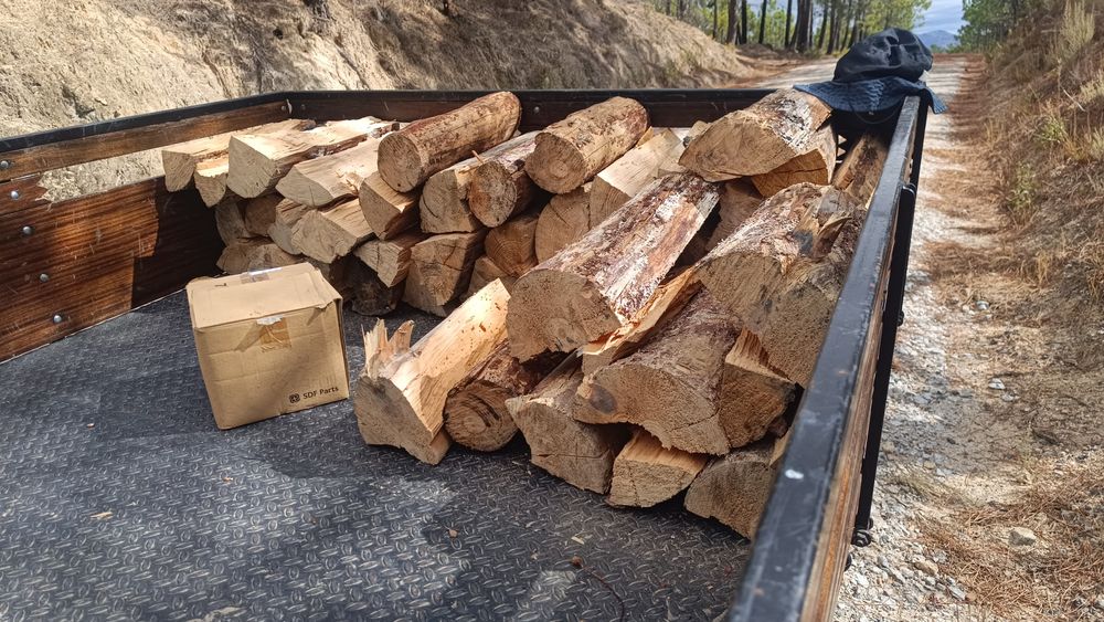 Vendo lenha com saca pinha oferta por m3