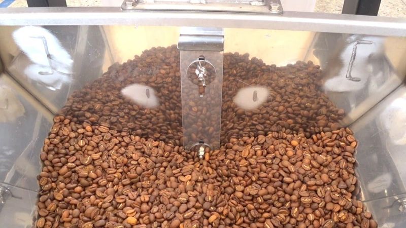 Кофе в зернах свежей обжарки по адекватной цене! Зерновой, кава,  1кг