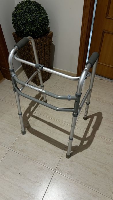 Andarilho cinzento com pegas