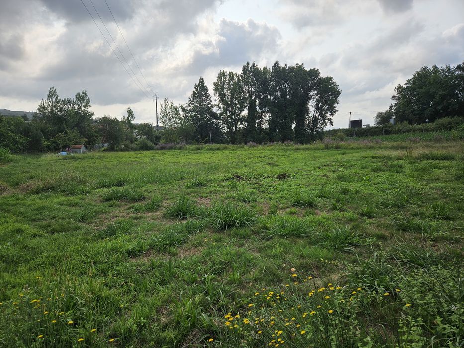 Terreno agrícola