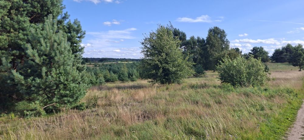 Zdjęcie 6