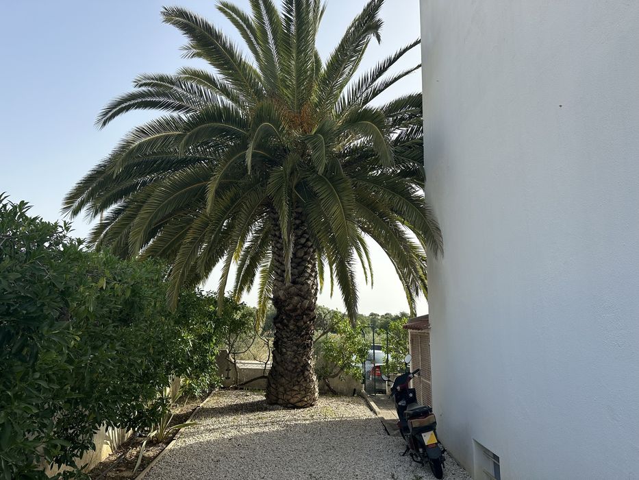 Jardineiro e manutencoes
