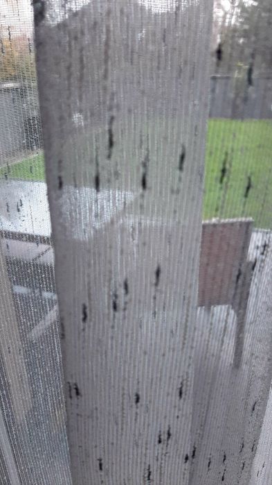 Firana na przelotkach srebrny szron 2 sztuki