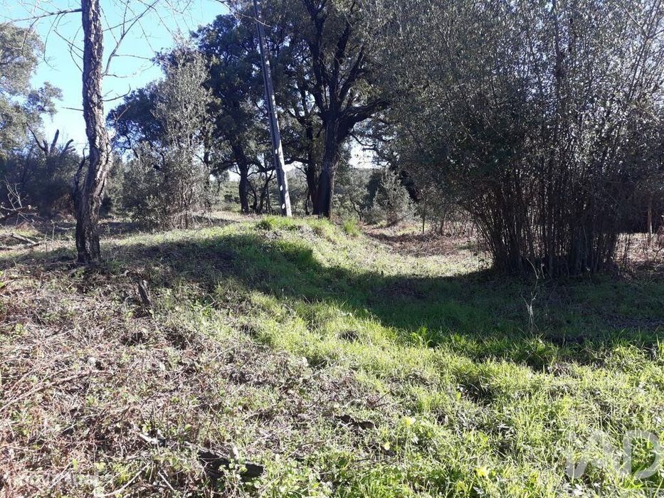 Terreno Agrícola em Monchique