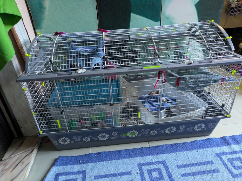 Gaiola furão/coelho