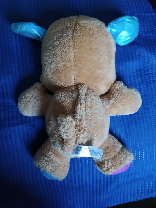 Cãozinho aprender a brincar