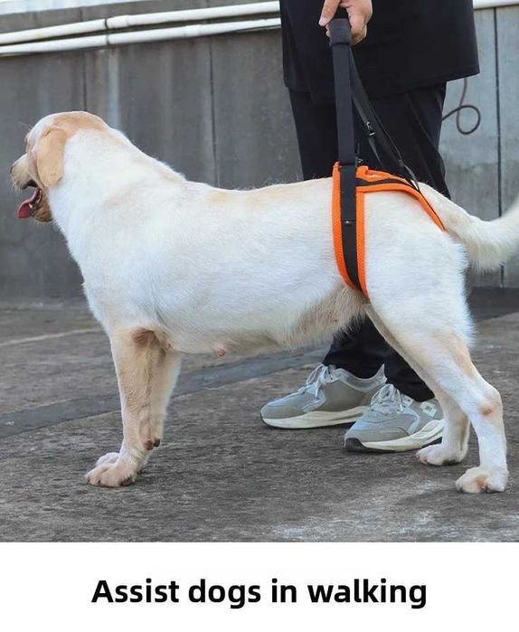 Arnês de elevação p/cão, patas traseiras para ajudar a andar