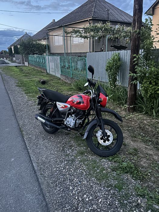 Boxer bajaj 150 x disk