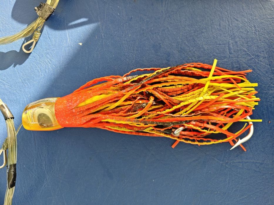 Amostras pesca curricar atum espadarte ....