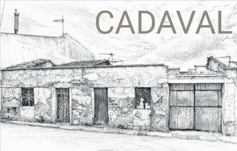 Casa / Villa T2 em Cadaval e Pêro Moniz de 205 m2