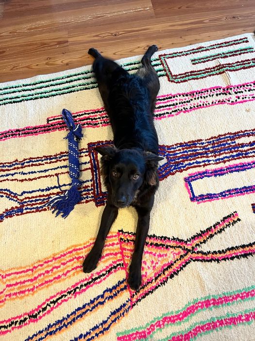 Bebe 9 meses para adopcao