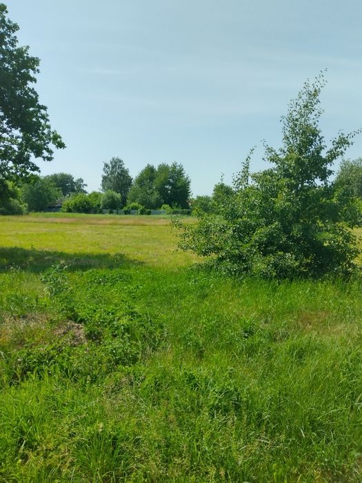 Продам дом с земельным участком