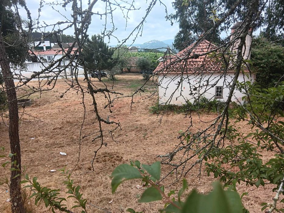 Casa antiga com terreno