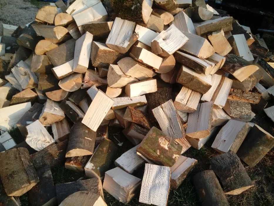 drewno kominkowe opałowe buk dąb brzoza grab sosna