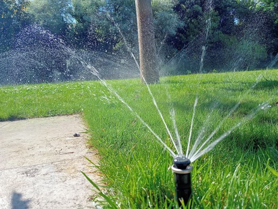 Serviços de jardinagem