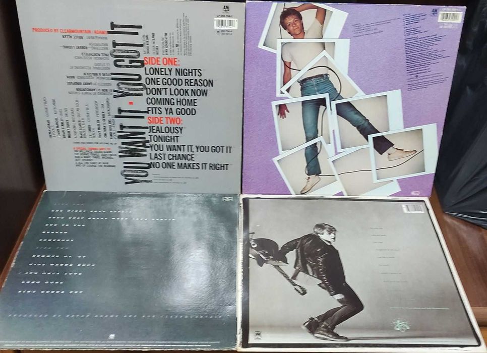 Платівки - Bryan Adams (Брайан Адамс) -ЦІНИ ЗНИЖЕНО-