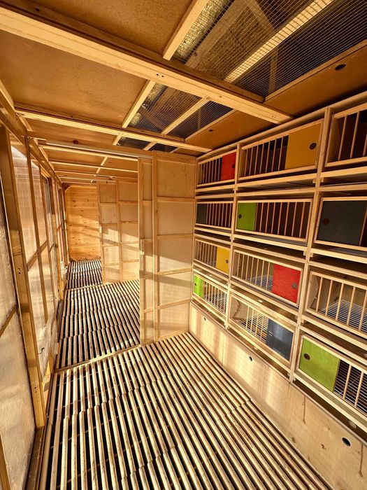 Gołębnik 7m x 2m Woliera 1m x 6m Wyposażenie delux