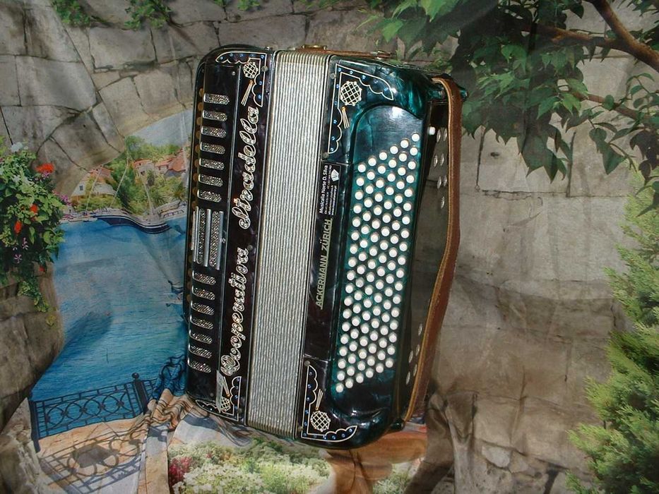Promoção de Acordeões de concertinas
