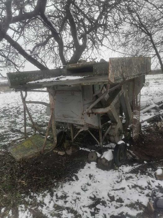 Молотарка польська.