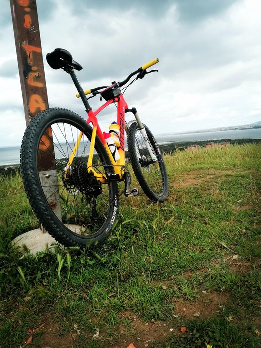 Bicicleta VITORIA  Ergos Xtralight 29"

BTT