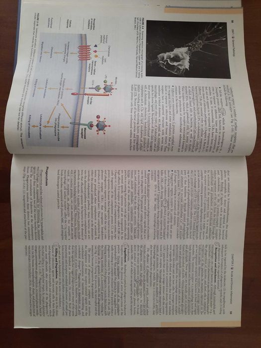 Pathophysiologic Basis of Disease 7th edition - Livro Medicina