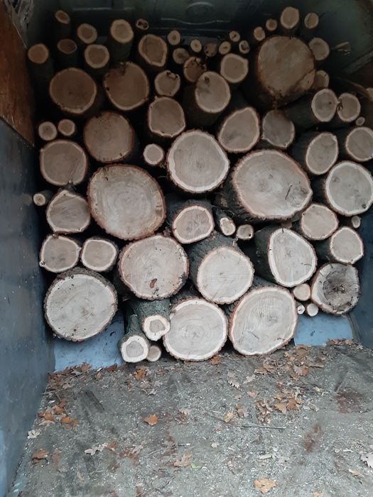 Продам дрова твердых пород