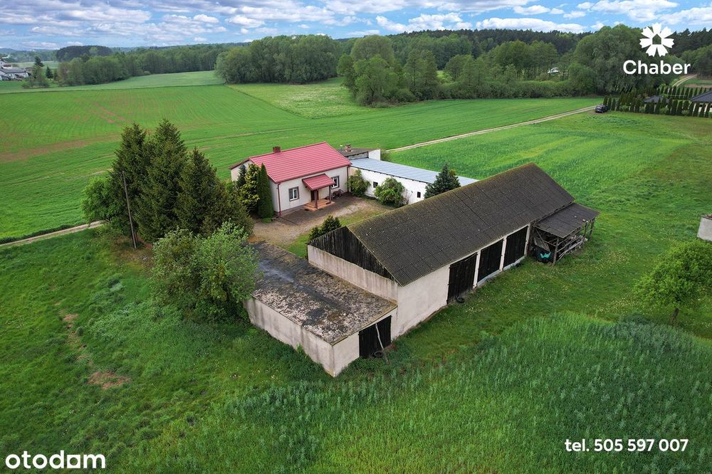 Siedlisko w sąsiedztwie lasów 17 km od Włocławka, dom 100m2