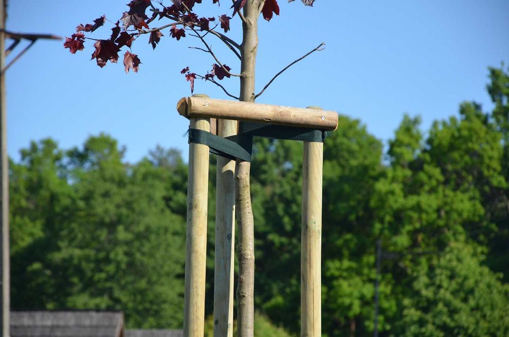 Palisada drewniana wałki paliki do drzewek sosnowe 5x200cm wysyłka!