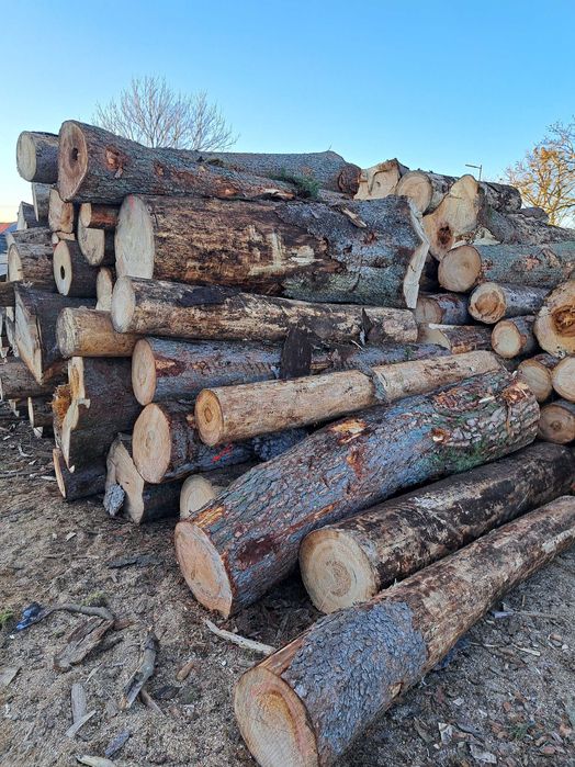 Drewno kominkowo opałowe