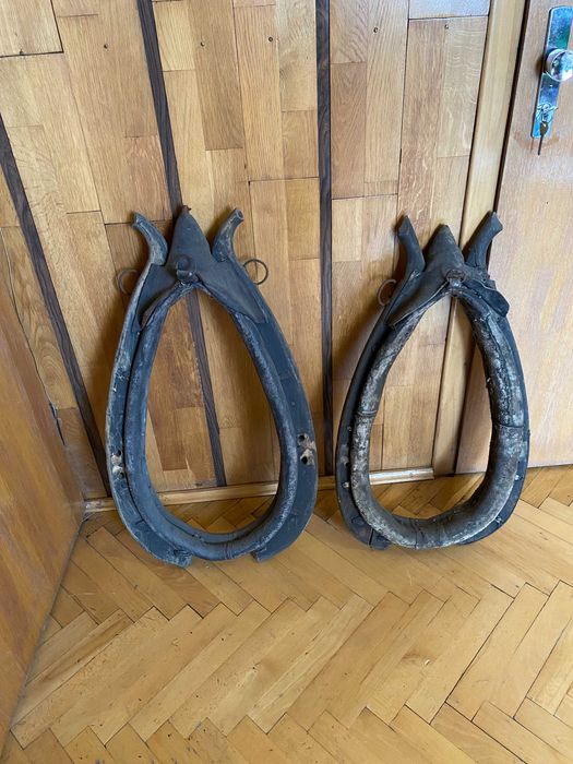 Jedno stare chomonto do renowacji