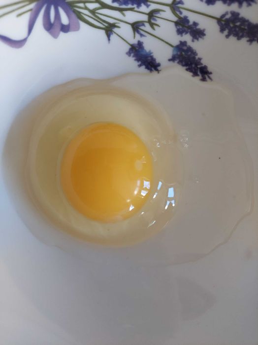 Jajka, Jaja wiejskie ekologiczne