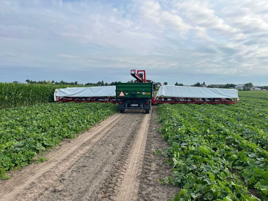 kombajn do ogórków, samolot do rwania ogórków