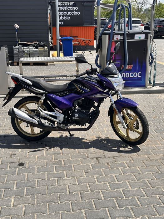 GEON pantera 202 cbf
