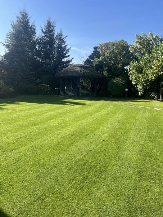 Trawa Z Rolki Premium