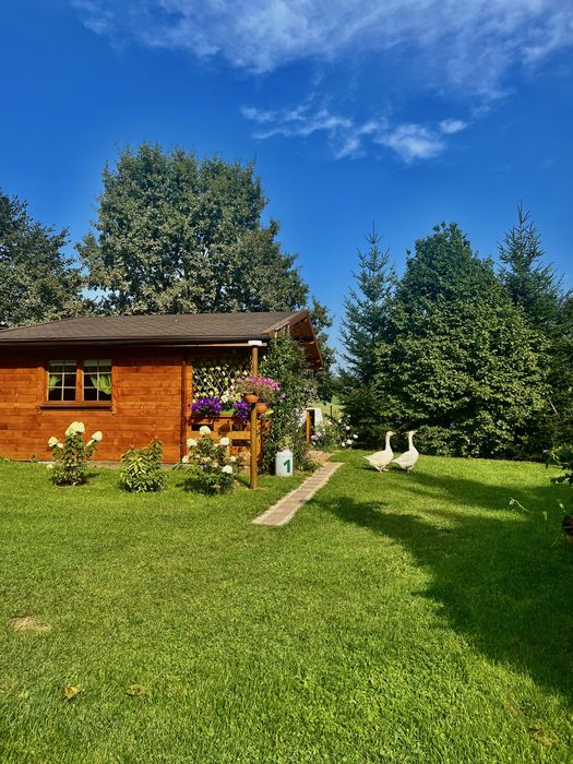 Domki Radków – Góry Stołowe | Sauna, Balia SPA | Domki Skibin