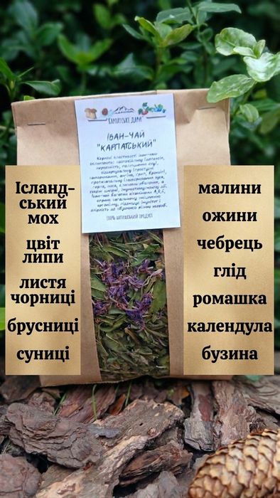 Ісландський мох цвіт липи листя чорниці брусниці суниці малини ожини чебрець глід ромашка календула бузина