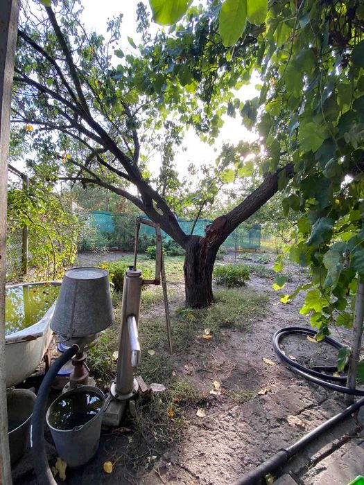 Продам дачу біля річки Обухівка Обуховка