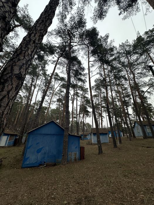Продаж Бази Відпочинку .  Вишгород село Новосілки ТП Світло 160 кіловат . ГАЗ , Річка водойма 5 хв