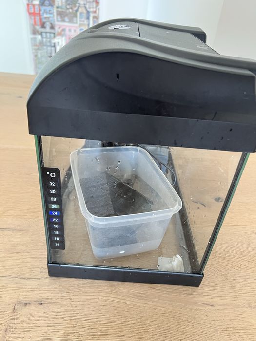 Akwarium Diversa 40L zestaw